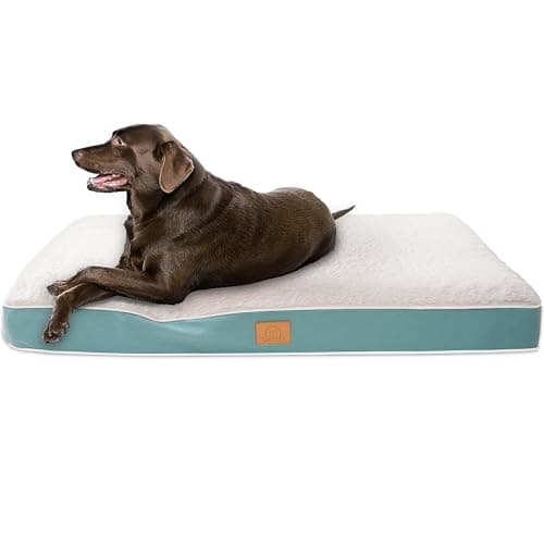 Beds & Furniture